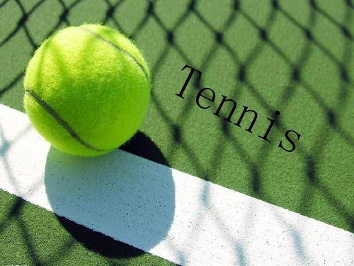 想法不仅增 想法不仅增